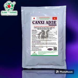 CANXI AD3E (ĐT)