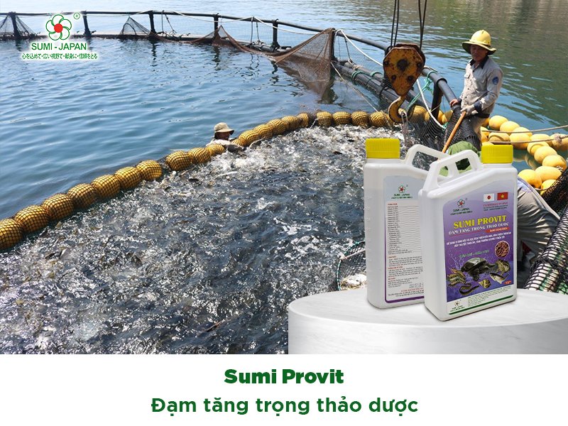 dinh dưỡng bổ sung cho tôm