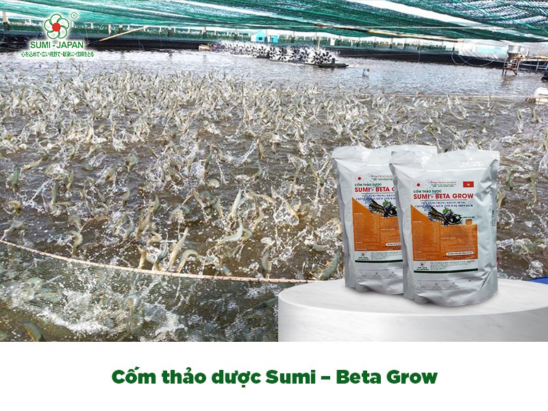 dinh dưỡng bổ sung cho tôm