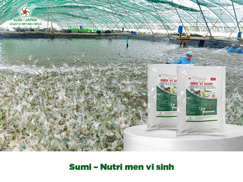 dinh dưỡng bổ sung cho tôm