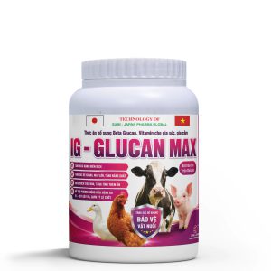 IG - GLUCAN MAX